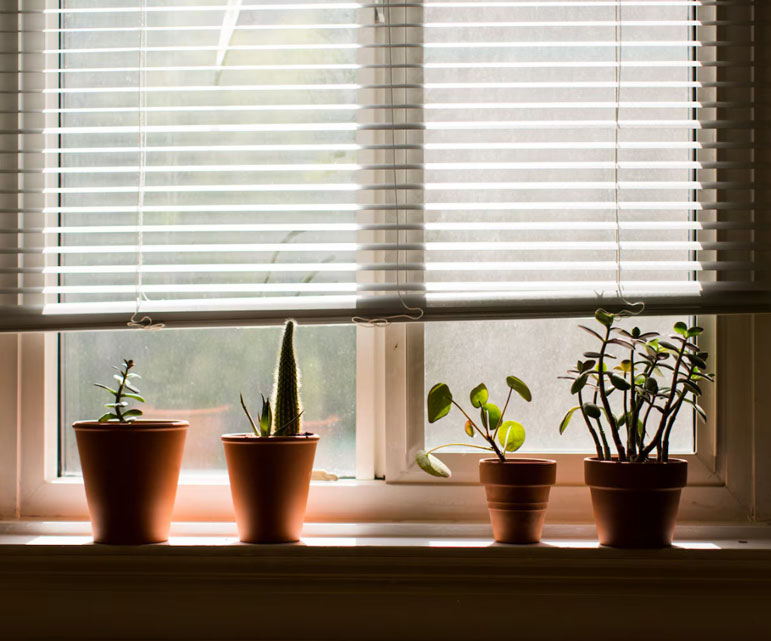 Window Blinds in Pallavaram